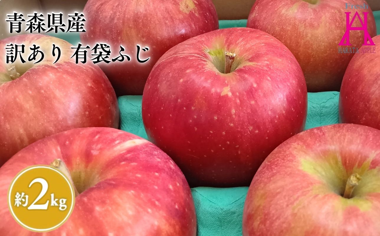 4月 発送【訳あり】家庭用有袋ふじ約2kg