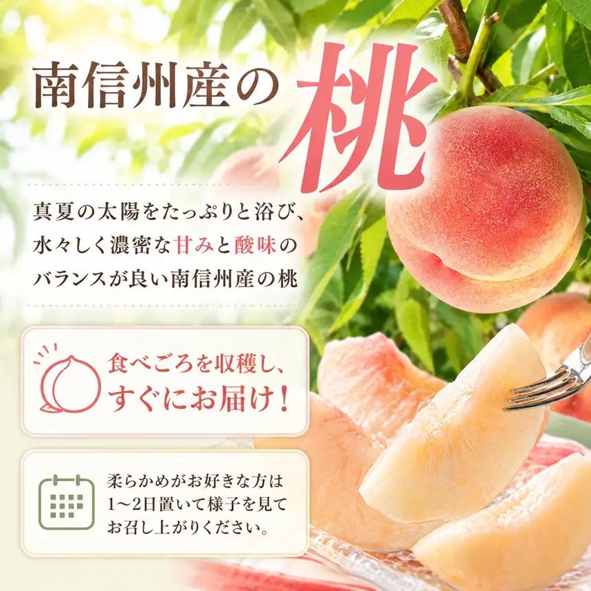 【2027先行予約】 南信州産 桃 約3kg〈 あかつき ・ 白鳳 〉【2027年7月中旬～順次発送予定】| 丸中中根園