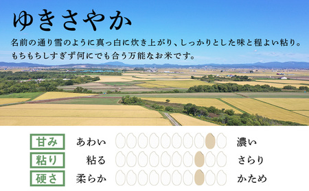 《令和7年産 新米》北海道産ゆきさやか10kg(通常パック5kg×2袋)