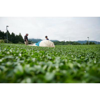ふるさと納税 宇治田原町 宇治田原紅茶5袋 |  | 02