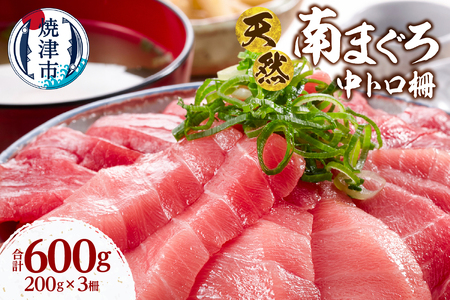 天然 ミナミマグロ 中トロ 柵 刺身 焼津 海の極 計600g 200g×3 (a25-066)