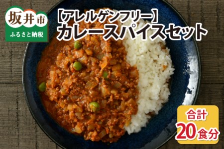 カレースパイスセット (5食分 × 4箱) アレルゲンフリー カレー  [A-13012]