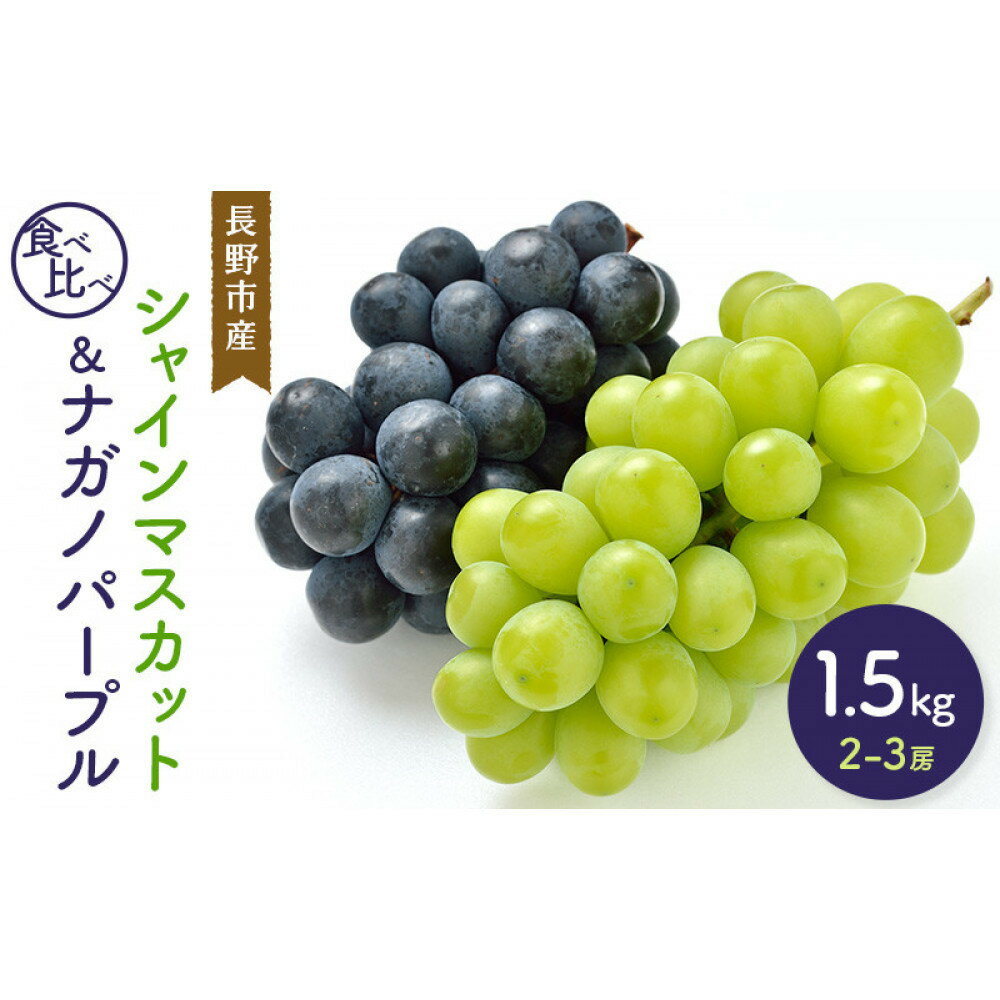 【ふるさと納税】【セット】シャインマスカット＆ナガノパープル 1.5kg 2-3房 | ナガノパープル シャインマスカット ぶどう フルーツ 果物 セット 食べ比べ 国産 人気 おすすめ ギフト プレゼント 送料無料 長野県 長野市 信州 信濃 ふるさと納税