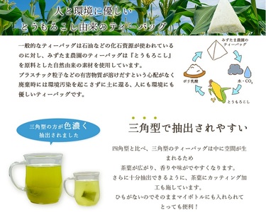 054-22　水出し専用 深蒸し茶 ティーバッグ(5g×20p)5袋