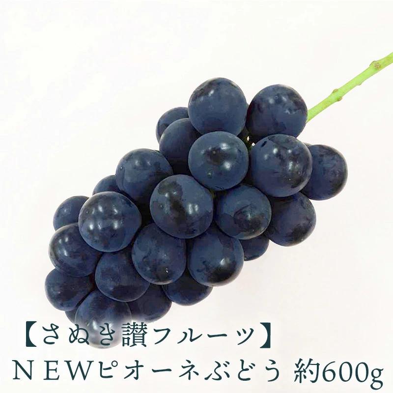 【ふるさと納税】ＮＥＷピオーネぶどう 約600ｇ さぬき讃フルーツ 甘さとジューシーさが詰まった最高級ピオーネ！ 大粒で食べごたえ抜群！ピオーネぶどう 風味豊かで甘い、完熟ピオーネ 新鮮さが自慢のさぬ