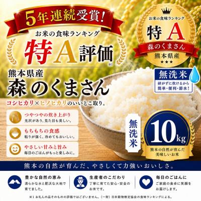 ふるさと納税 玉名市 【熊本県産】 森のくまさん 無洗米 10kg