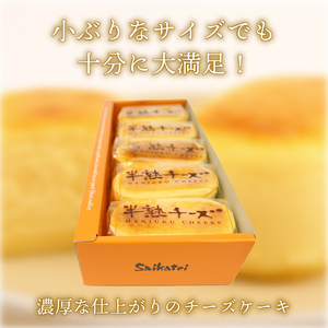 半熟スフレ チーズケーキ10個 5個入り 2箱 贈答 ギフト おすすめ 菜菓亭 新潟銘菓 新潟 新発田 いえい 菜菓亭 洋菓子 お歳暮 iei001_01
