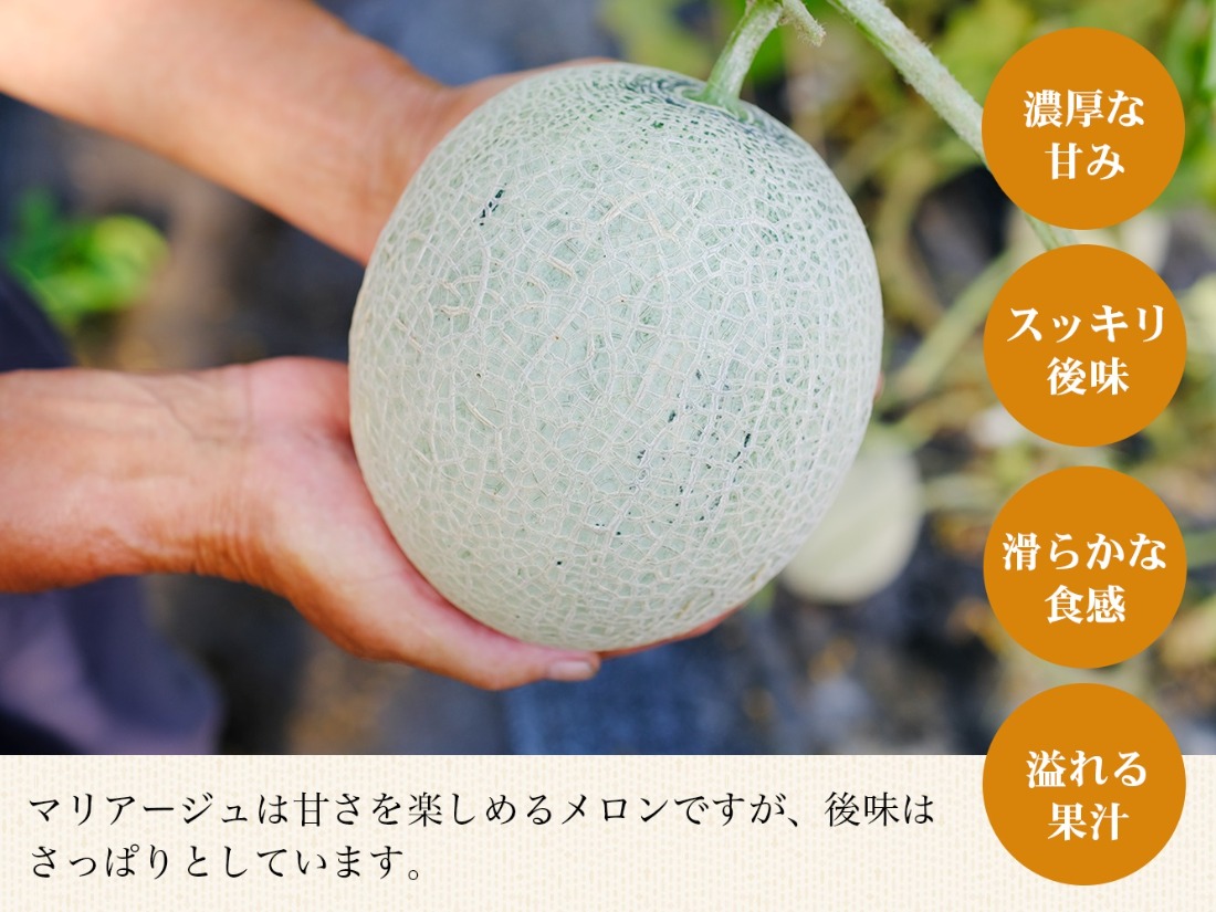 【期間限定】【数量限定】磐梯町産 赤肉メロン 『マリアージュ』 1 玉 4L サイズ　※8月10日以降順次発送