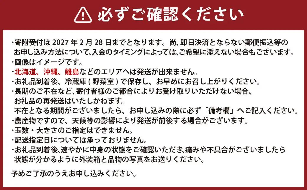 熊本県産いちご 恋みのり2キロ（8パック） 【2027年2月上旬発送開始】