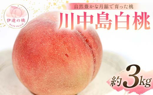 自然豊かな月舘で育った桃 川中島白桃3kg（8～12玉） 桃 もも モモ 果物 くだもの フルーツ 名産品 国産 食品 F21C-057