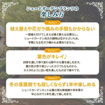 ふるさと納税 筑前町 日陰で育つシェードガーデン(和風)セット |  | 01