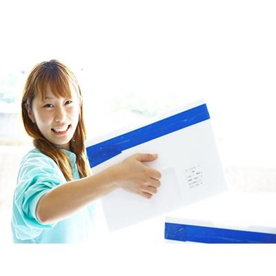 ふるさと納税 須崎市 乙女鯛 まるごと2匹 |  | 01