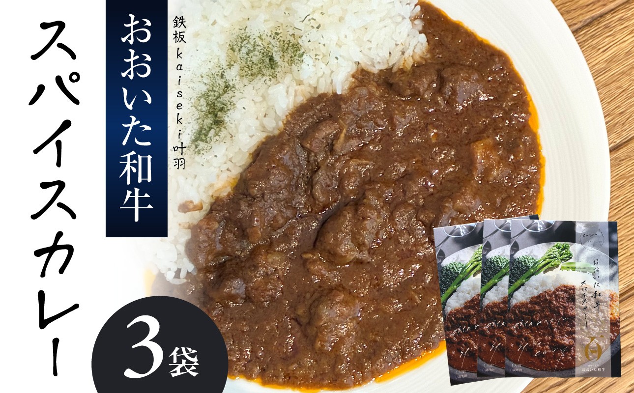 
                  おおいた和牛 スパイスカレー 3袋 レトルト レンジ レンチン 湯煎 食事 おおいた和牛 国産 スパイシー 牛肉 牛スープ 牛すじ 荒木美樹 プレゼント 贈答 K03038
                
