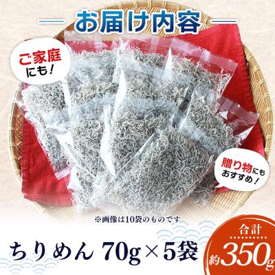 ふるさと納税 西予市 漁師さん自慢のちりめんじゃこ 合計350g(1パック70g入り) |  | 03