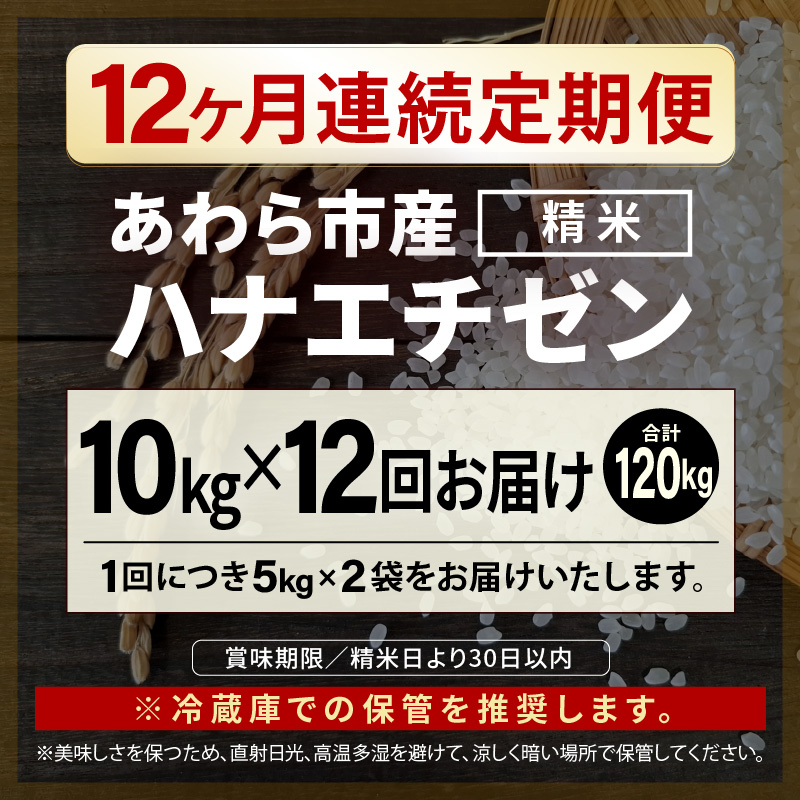 【先行予約】【令和8年産】定期便≪12ヶ月連続お届け≫ハナエチゼン 精米 10kg（計120kg）（長谷川農園） / 北陸 福井県産 あわら市 ブランド米 白米 お米 コメ ※2026年10月より順次発送予定  [aw139-n002]
