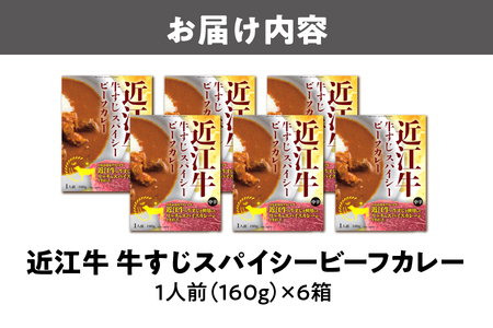 【京阪百貨店厳選】近江牛すじスパイスカレー160g×6食セット_OS048-0063