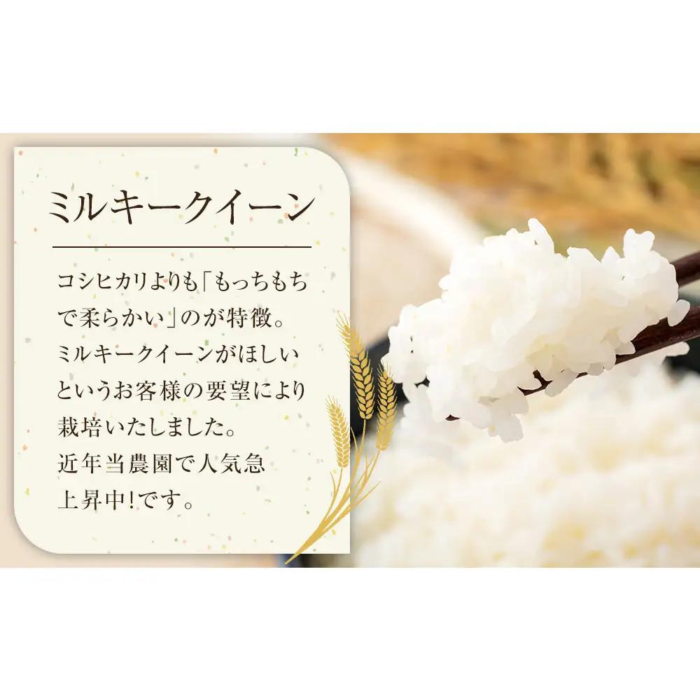 183.日置さん家のお 米 「 ミルキークイーン 」5kg×2袋【 精米 ・2026年産】 | 米