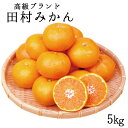 【ふるさと納税】 高級ブランド 田村みかん 5kg【予約】※2024年11月下旬頃～2025年1月下旬頃に順次発送(お届け日指定不可)/みかん ミカン 有田みかん ブランドみかん 柑橘 果物 フルーツ 旬 先行 予約