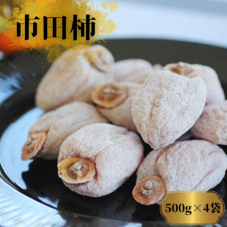 【ふるさと納税】市田柿 約500g×4袋（ご自宅用）／2026年1月上旬～2月下旬頃配送予定 // 長野県 南信州 市田柿 果物 高級 2キロ MS24