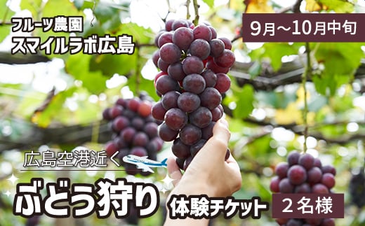 ぶどう狩り利用券 　フルーツ狩り 体験 果物狩り ぶどう 採り放題 ブドウ 新鮮 広島県三原市 059015