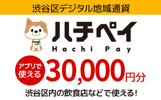 
【11月中旬受付再開予定】渋谷区デジタル地域通貨「ハチペイ」30,000円分
