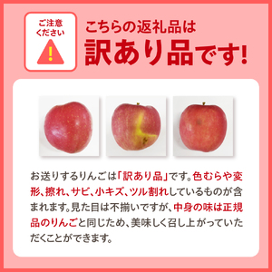訳あり りんご5kg 程度【2025年10月後半発送】サンジョナゴールド 青森|不揃いリンゴ 