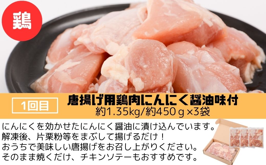  ＜定期便・全3回＞肝付町セレクト定期便《肉だらけ定期便A》