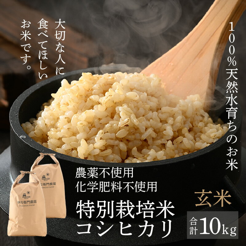 【ふるさと納税】【先行予約】【令7年産 新米】コシヒカリ 玄米 10kg 特別栽培米 5kg×2袋 無農薬 化学肥料不使用 / 伊与衛門農園の特別栽培米 高品質 鮮度抜群 福井県 あわら市産 ブランド米 R7 北陸 ※2025年9月下旬より順次発送予定