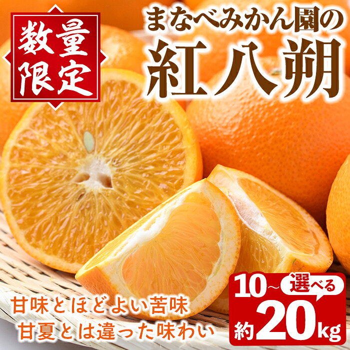 【ふるさと納税】＜先行予約受付中！2027年2月上旬以降順次発送予定＞＜内容量が選べる！＞まなべみかん園の紅八朔(約10～20kg) 国産 鹿児島県産 阿久根市産 柑橘類 果物 フルーツ べにはっさく 期間限定 数量限定 贈答用 ギフト デザート 【有限会社まなべみかん園】