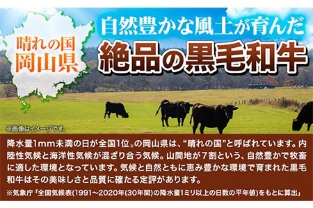 牛肉 肉 黒毛和牛 切り落とし 訳あり 大容量 小分け 3kg 250g × 12《60日以内に出荷予定(土日祝除く)》岡山県産 岡山県 笠岡市 お肉 にく カレー 牛丼 切り落し 切落し