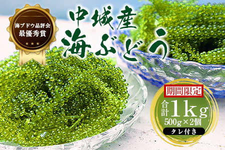 【沖縄から産地直送】県産海ぶどう品評会最優秀賞受賞!ちゅら海ぶどう1kg(500g×2箱)【1674920】