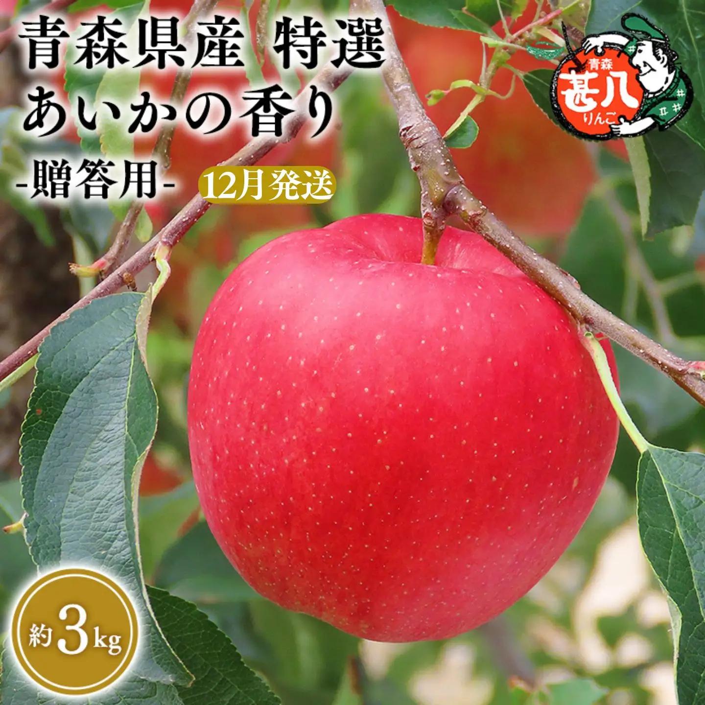 りんご あいかの香り 特選３kg　【青森県 平川市 マルジンサンアップル】 りんご