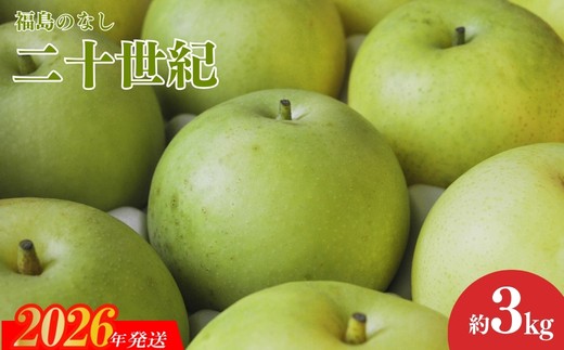 No.1727梨　なし　二十世紀　約3kg【2026年発送】