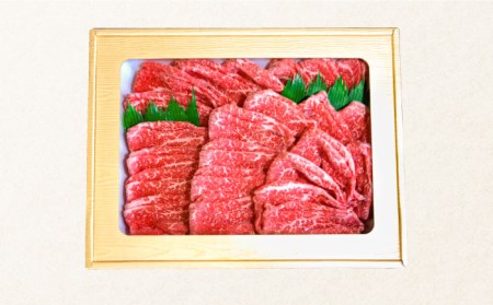 【12回定期便】長崎和牛 もも肉 400g / 南島原市 / はなぶさ[SCN078]