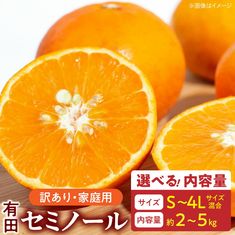 【ふるさと納税】【2027年先行予約】 ご家庭用 セミノール 和歌山 有田 S〜4Lサイズ混合 選べる 内容量 約2kg 〜 約5kg 和歌山県 湯浅町 送料無料
