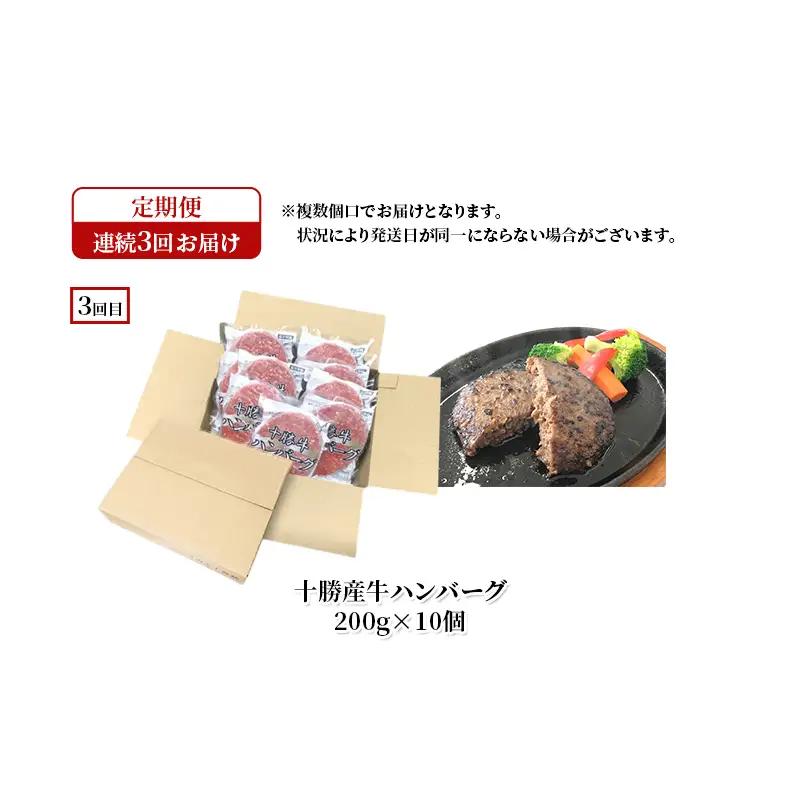 定期便 ハンバーグ 3種食べ比べ 全3回 ハンバーグ