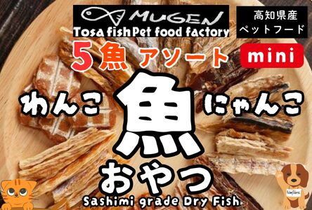 M220【犬・猫用】お魚100%わんにゃん 無添加ペットフードおまかせ ミニサイズ 旬の5魚アソート おためし！
