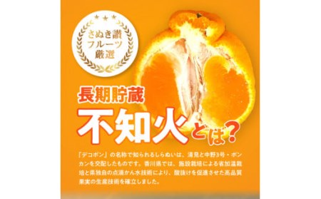 数量限定【5月以降出荷】夏季まで美味しさを保つ、長期貯蔵「不知火」約2kg