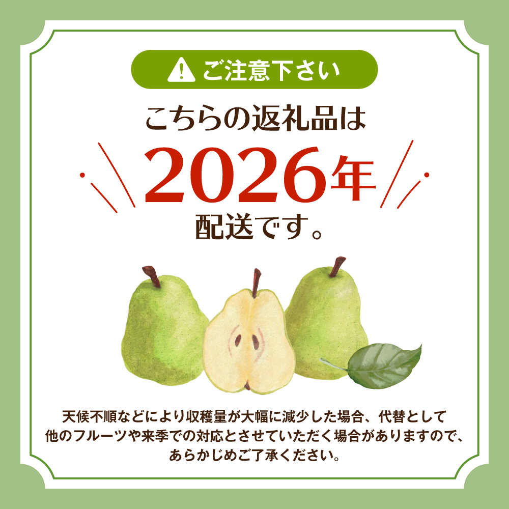 【令和7年産 先行予約】山形セレクション　ラ・フランス 3kg 山形県 東根市 hi069-009-1