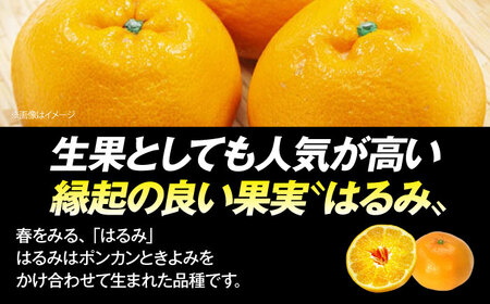 【先行予約】【2025年4月上旬から順次発送】はるみジュース　2本　愛媛県大洲市/ORANGE LINE 果物 みかんジュース デザート 果汁100％ ストレートジュース オレンジジュース[AGCT0