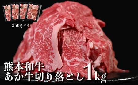 ＜ R8年熊本地震復興支援 ＞ あか牛 切り落とし スライス 約1kg （約250g×4パック） 赤牛 和牛 国産和牛 牛肉 お肉 肉 切落し 薄切り 小分け 熊本県 熊本市 冷凍