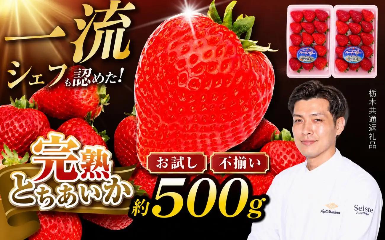 栃木県産 お試しとちあいか（サイズ不揃い） 約250g×2P 栃木県 下野市 送料無料