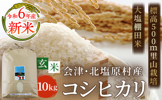 
【玄米】【令和6年産】【新米】会津・北塩原村産「コシヒカリ」10kg（大塩棚田米・標高500ｍ里山栽培） 【 ふるさと納税 人気 おすすめ ランキング コシヒカリ 米 10kg 白米 お米 国産 コメ こめ おコメ おこめ ブレンド米 ブレンド ご飯 白飯 ごはん 玄米 ゴハン おにぎり 福島県産 棚田米 福島県 北塩原村 送料無料 】 KBK012
