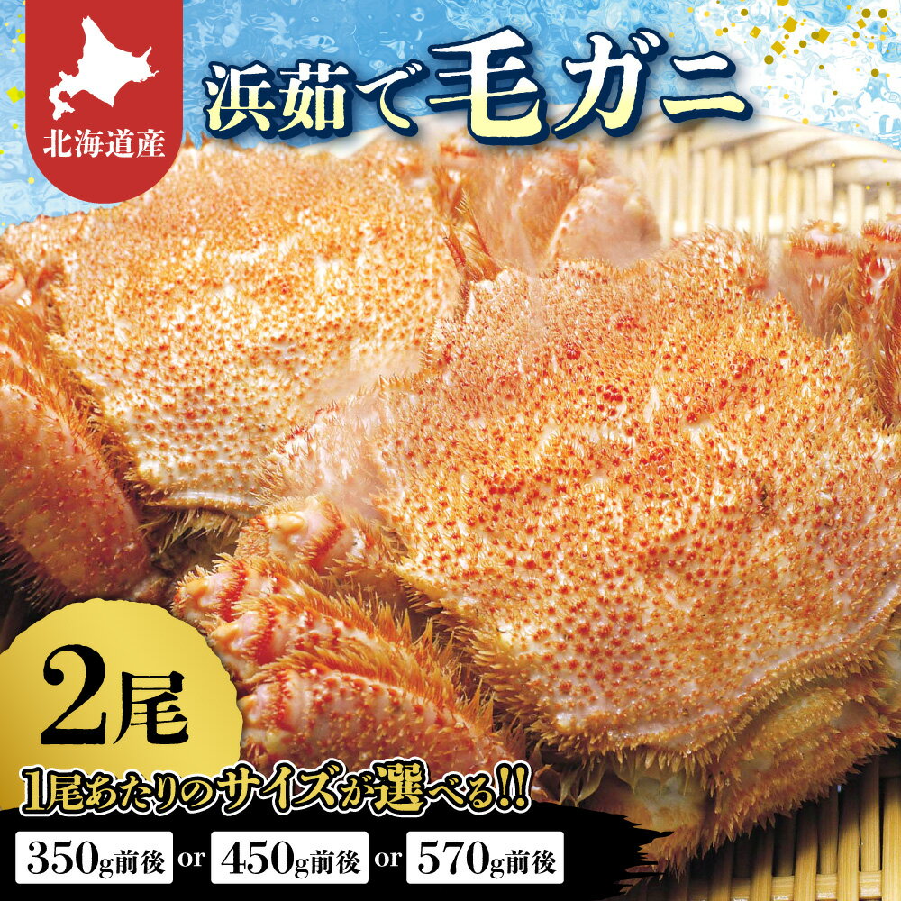 【ふるさと納税】北海道産　浜茹で毛ガニ　【選べる容量】350g前後×2尾 450g×2尾 570g×2尾 毛ガニ 毛蟹 カニ 蟹 北海道 2尾 セット 冷凍 ゆでがに 人気 おすすめ 送料無料 贈答 ギフト オホーツク 活ガニ 急速冷凍 【配送不可地域：離島・沖縄県】
