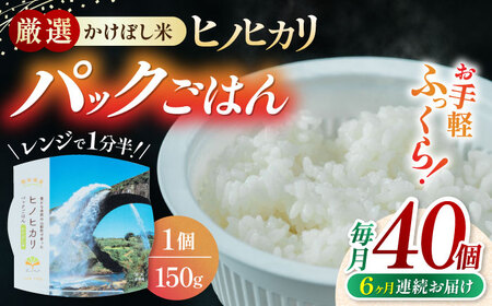 【全6回定期便】いちょうの畑 パックご飯 150ｇ×40パック 一人暮らし 一人暮らし 一人暮らし 一人暮らし 一人暮らし [YDN007]