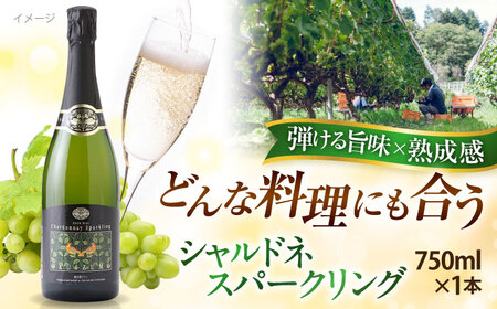 シャルドネスパークリング ワイン ワイン ワイン ワイン 奥出雲葡萄園 [AICS058]