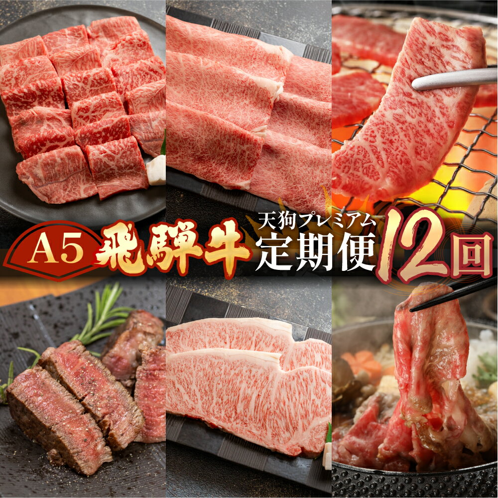 【ふるさと納税】 A5 飛騨牛 定期便 12回 天狗 牛肉 (ステーキ / 焼き肉 / すき焼き /.希少部位 赤身 / 霜降り) 1年間 お楽しみ サーロイン カルビ イチボ ランプ もも 肩ロース肉 希少部位 12カ月 肉ギフト 国産 焼肉 すきやき しゃぶしゃぶ 300,000円　30万円