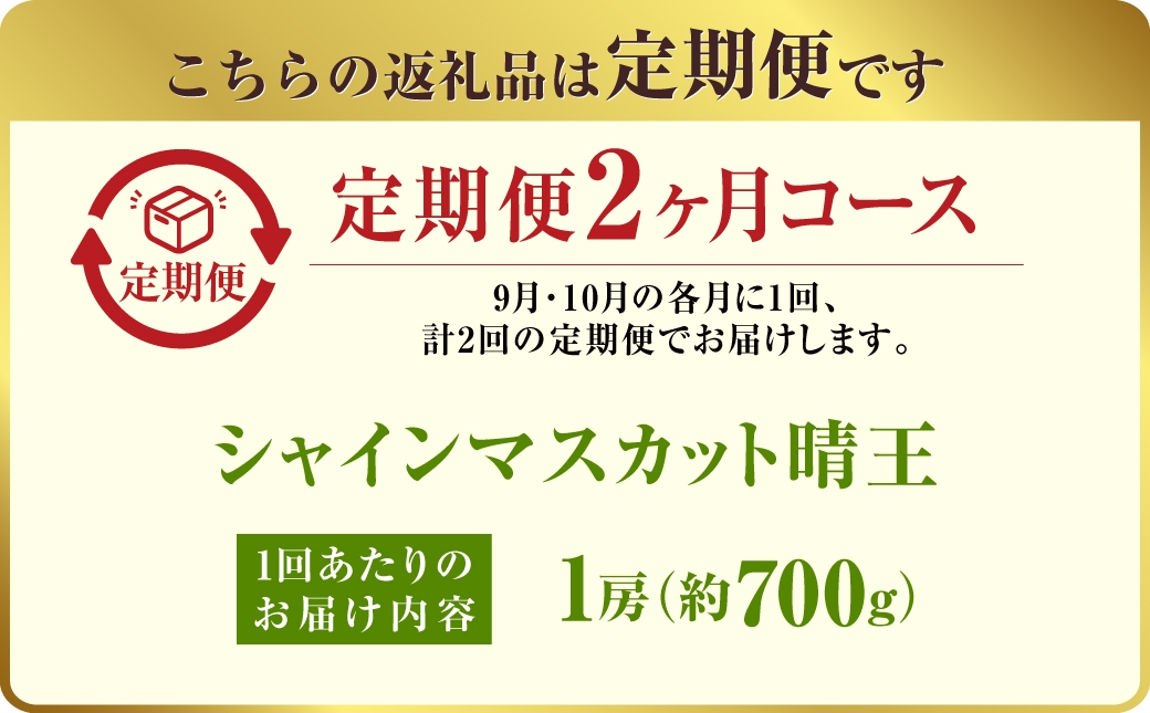 【定期便 全2回／2025年9・10月発送】 岡山県産シャインマスカット 晴王 1房 約700g