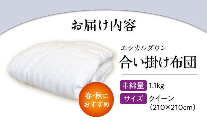 洗える 人工羽毛布団 合い掛け布団 クイーン エントリーモデル 広島県福山市/イシケン株式会社 羽毛 布団 ふとん 掛け布団 掛布団 中厚 軽い 日本製 春 秋 寝具 アレルギー対策 [BAAK020