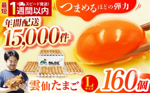 【常温配送】Lサイズ160個(150個＋割れ補償10個入り) 長崎県/塚ちゃん雲仙たまご村 [42ACAE006] 卵 玉子 タマゴ 鶏卵 長崎 島原 九州 大容量 たっぷり  スピード 発送 配送 最速 最短 すぐ届く すぐ発送